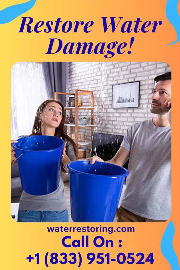 water restoration Coastal Emergency Restoration Masters Hardwood Acres