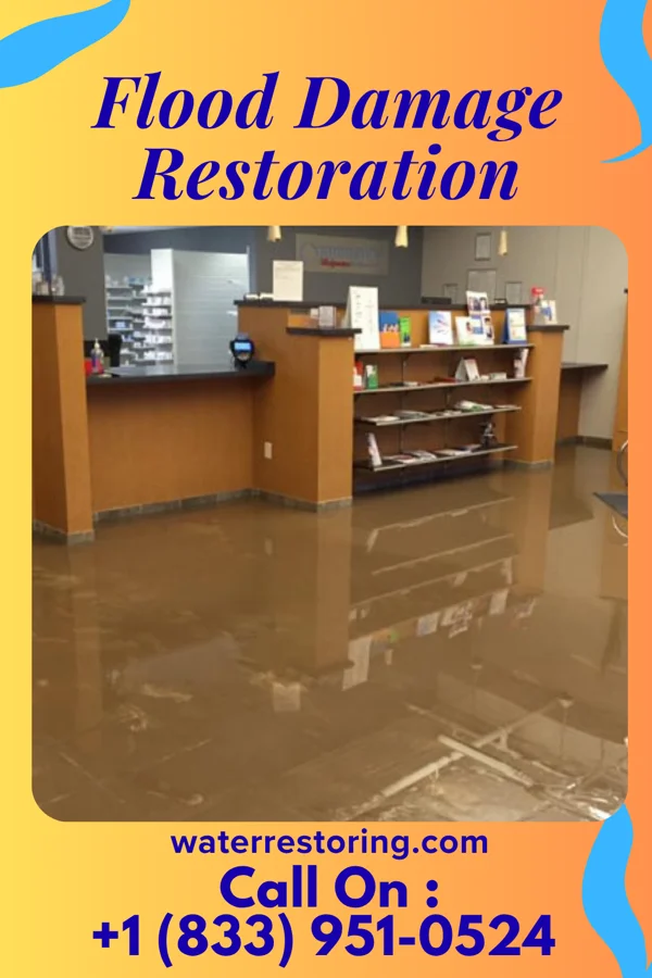 Flood Damage Restoration in Hardwood Acres, MI