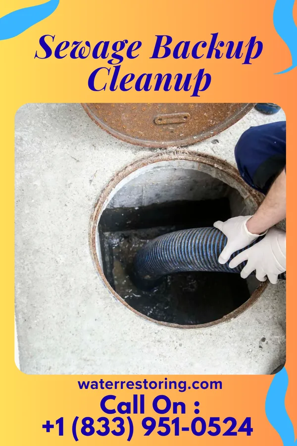 Sewage Backup Cleanup in Hardwood Acres, MI